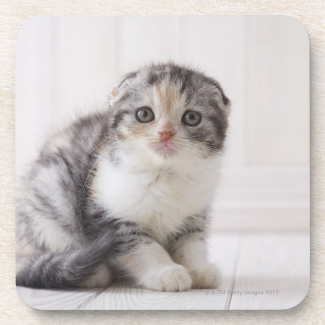 Japan 5 untersetzer (Vorderseite)