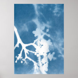 Japan Cherry Blossom Cyanotype Vintag Inspiriert Poster