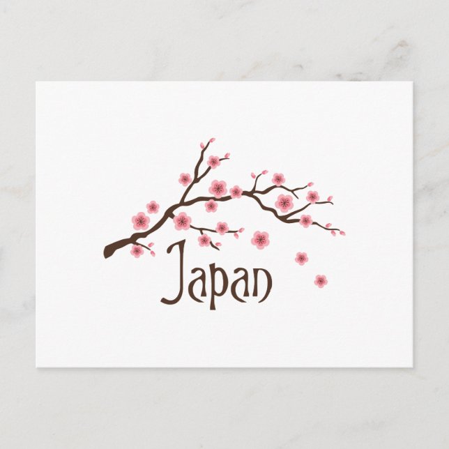 Japan Cherry Blüten Postkarte (Vorderseite)