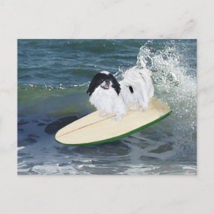 Japan-Chin-Surfing Postkarte