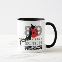 Japan-Erdbeben 8,9
