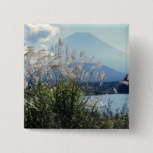 Japan, Honshu, Präfektur Yamanashi, Fuji-Hakone-Iz Button