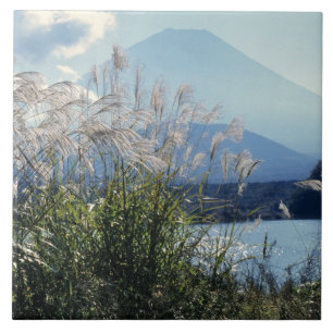 Japan, Honshu, Präfektur Yamanashi, Fuji-Hakone-Iz Fliese