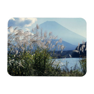 Japan, Honshu, Präfektur Yamanashi, Fuji-Hakone-Iz Magnet
