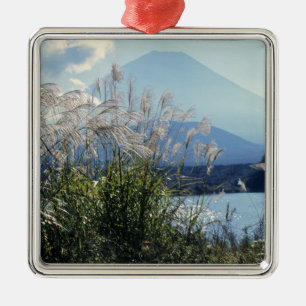 Japan, Honshu, Präfektur Yamanashi, Fuji-Hakone-Iz Ornament Aus Metall