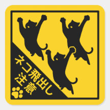 Japan Katze Warnschild – „Katzen können herausspri