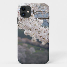 Japan Kumamoto Cherry Blossom title_seo2