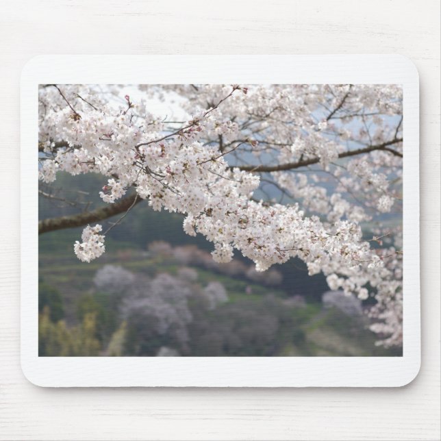 Japan Kumamoto Cherry Blossom Mousepad (Vorne)