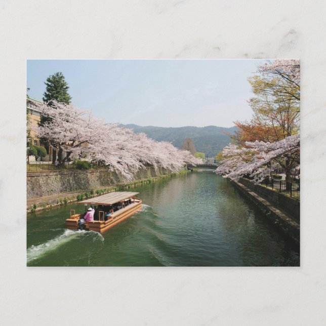Japan, Kyoto. Blume auf dem Schiff Postkarte (Vorderseite)