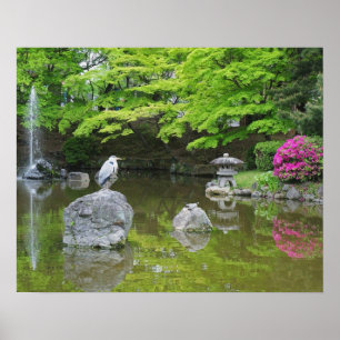 Japan, Kyoto. Heron in frischen grünen Blätter Poster