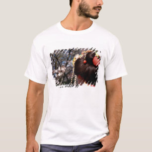 Japan, Kyoto. Hinteransicht nahe von geisha's T-Shirt