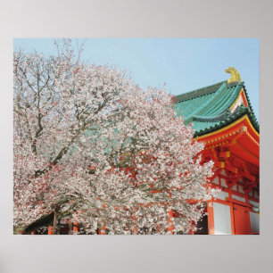 Japan, Kyoto. Kirschblüte des Shinto Poster