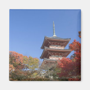 Japan, Kyoto, Pagode in Herbstfarben Magnet