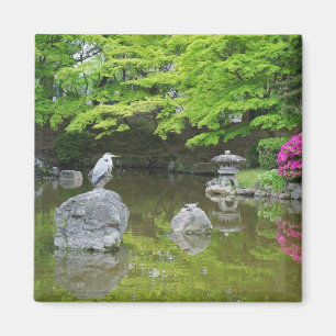 Japan, Kyoto. Reiher in frischen grünen Blättern Magnet