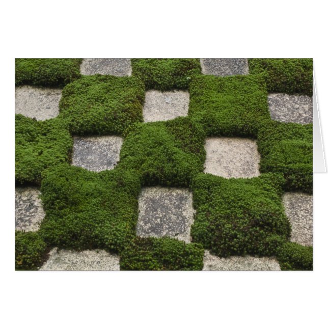 Japan, Kyoto, Tofukuji Tempel, Garten (Vorderseite (Horizontal))