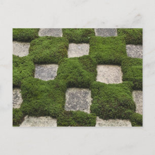 Japan, Kyoto, Tofukuji Tempel, Garten Postkarte