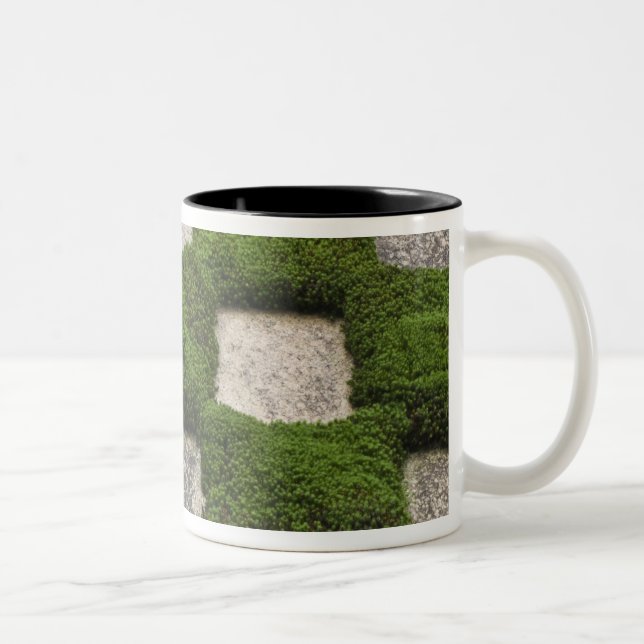 Japan, Kyoto, Tofukuji Tempel, Garten Zweifarbige Tasse (Rechts)