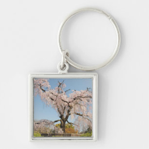 Japan, Kyoto. Trauerkirsche unter blauem Himmel Schlüsselanhänger