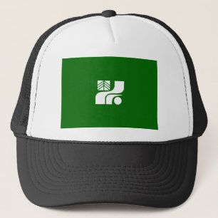 Japan-Landregions-Flaggenpräfektur Tochigi Truckerkappe