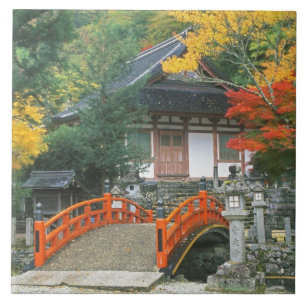 Japan, Nara, Ryuzenji-Tempel Fliese