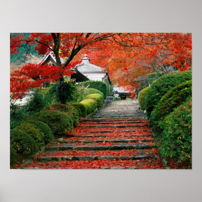 Japan Poster (Vorne)