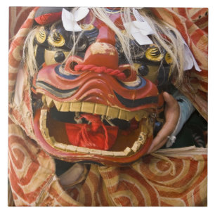 Japan, Präfektur Gifu, Takayama (auch bekannt als Fliese