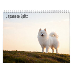 Japan-Spitz 2027 Wandkalender