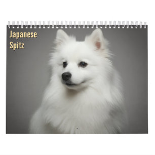 Japan-Spitz 2027 Wandkalender