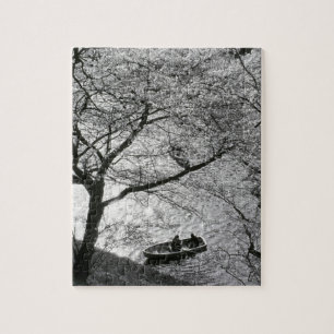 Japan, Tokio. Kirschblüten im Kaiserlichen