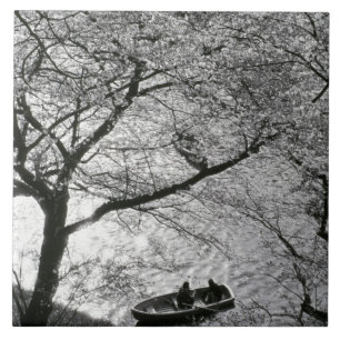 Japan, Tokio. Kirschblüten im Kaiserlichen Fliese