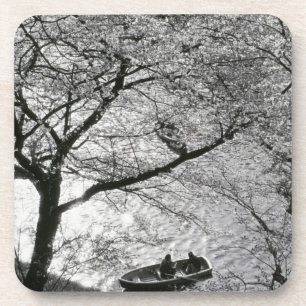Japan, Tokio. Kirschblüten im Kaiserlichen Getränkeuntersetzer