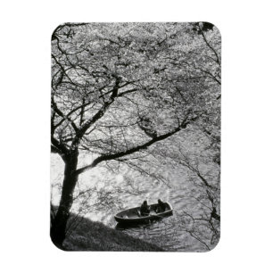 Japan, Tokio. Kirschblüten im Kaiserlichen Magnet