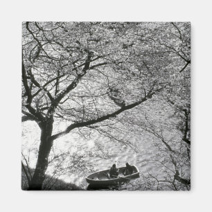 Japan, Tokio. Kirschblüten im Kaiserlichen Magnet