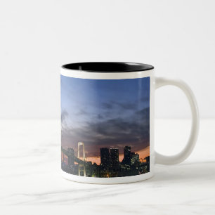Japan. Tokio. Regenbogenbrücke in der Tokiobucht. Zweifarbige Tasse