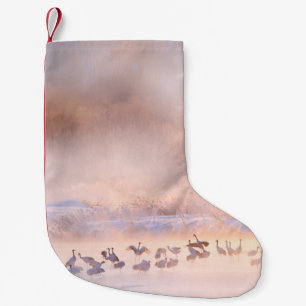 Japan Winter Natur. Wildtierszene, schneebedeckte Kleiner Weihnachtsstrumpf