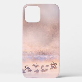 Japan Winternatur. Naturlandschaft, verschneite Na Case-Mate iPhone Hülle