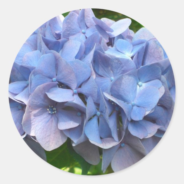 Japanblume Runder Aufkleber (Vorderseite)