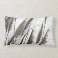 Japaner Silvergrass Gras-Geschenke der Brisen-|