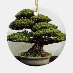 Japaner-White Pine-Bonsais-Baum Keramik Ornament