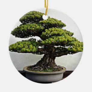 Japaner-White Pine-Bonsais Keramikornament