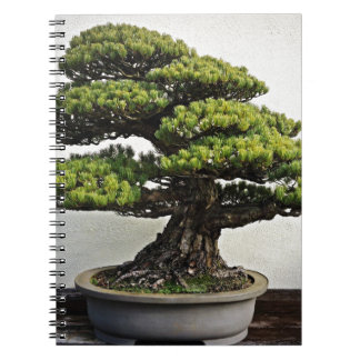 Japaner-White Pine-Bonsais Notizblock