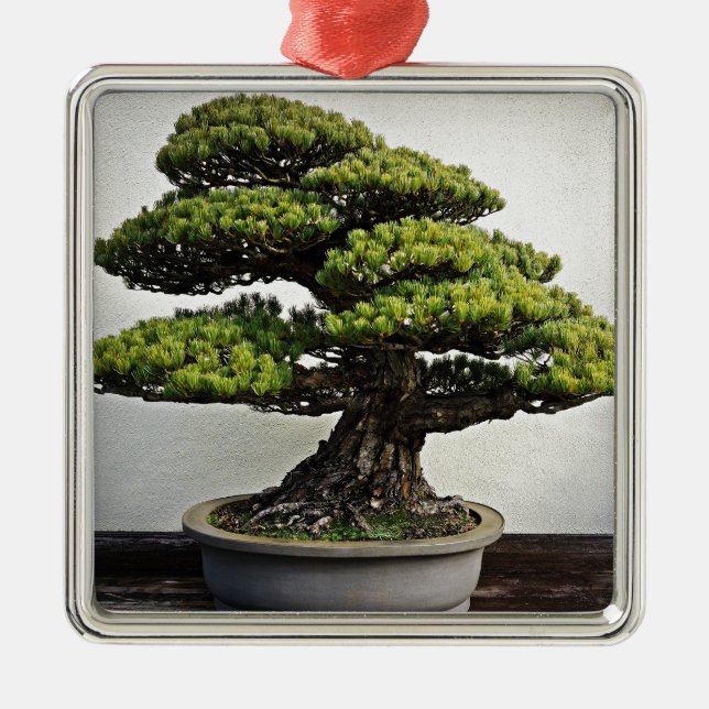 Japaner-White Pine-Bonsais Ornament Aus Metall (Vorne)