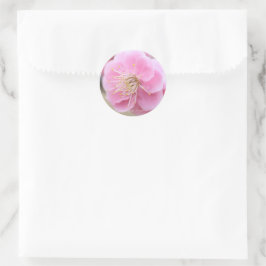 Japanese Apricot [Round Seal] Runder Aufkleber