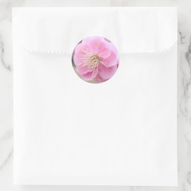 Japanese Apricot [Round Seal] Runder Aufkleber (Tasche)