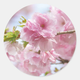 Japanese cherry blossoms runder aufkleber