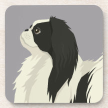 Japanese Chin