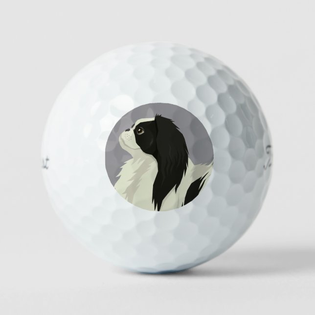 Japanese Chin Golfball (Vorderseite)