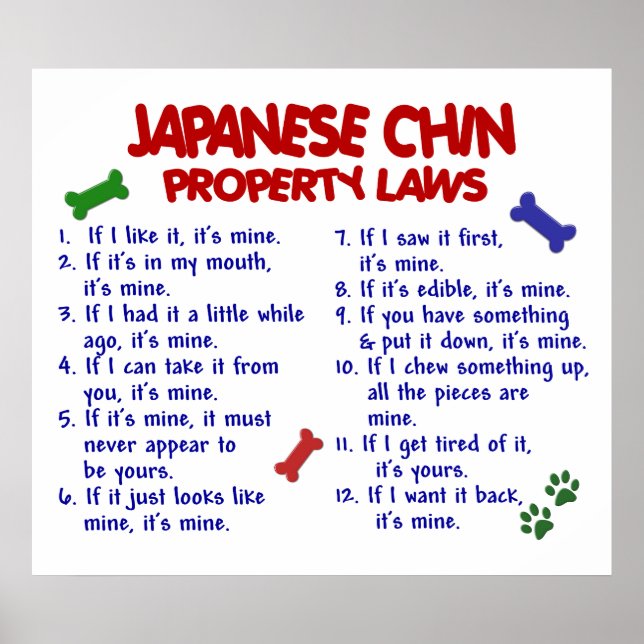 JAPANESE CHIN PL2 POSTER (Vorne)