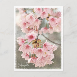 Japanese Flowering Cherry Postkarte