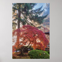 Japanese Gardens In Autumn In Portland, Oregon 6